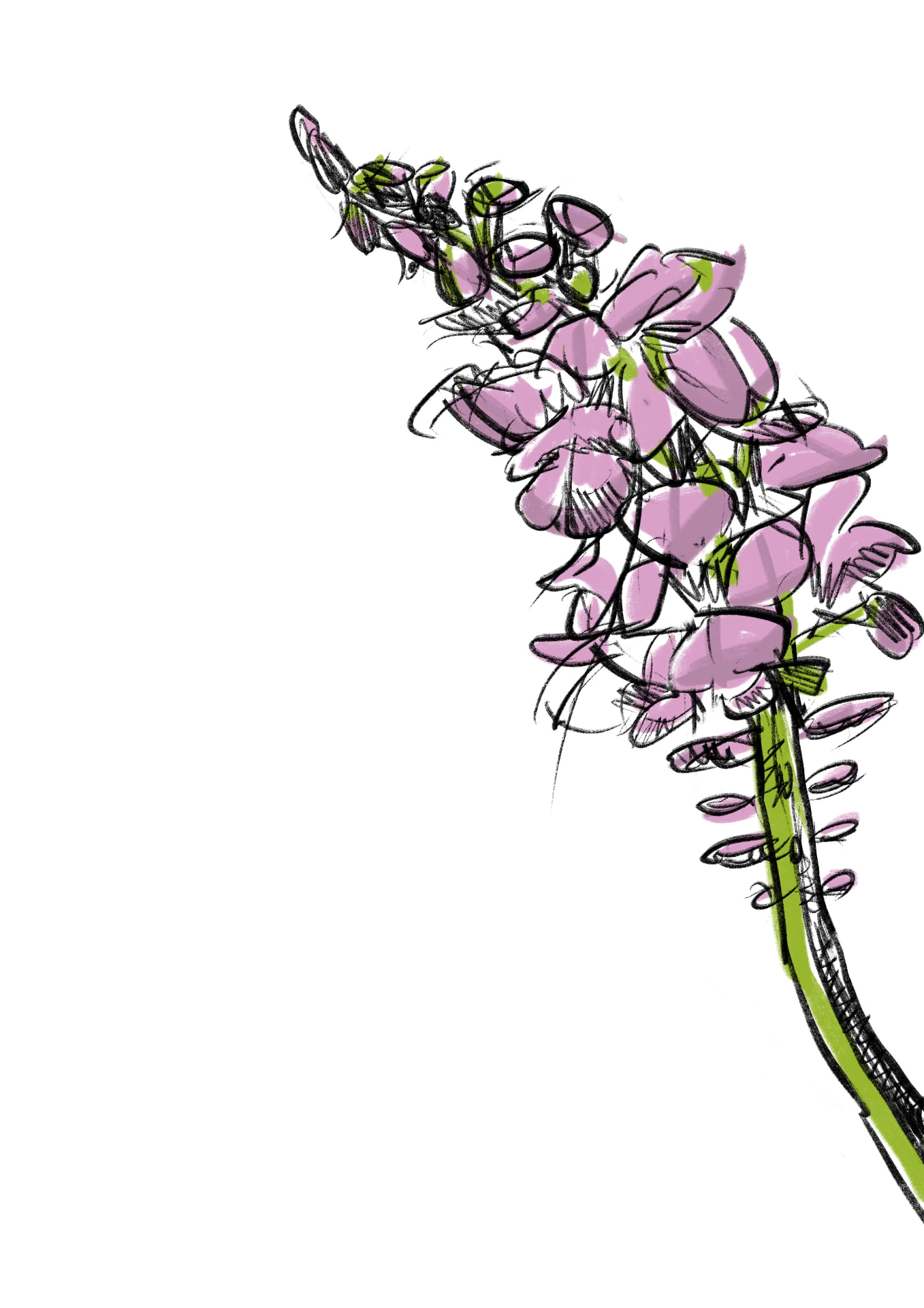 Dessin floral I