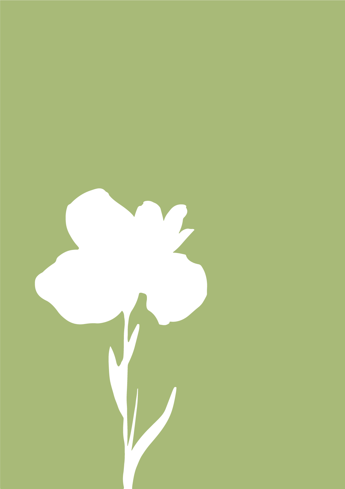 Expérimentations graphiques 2