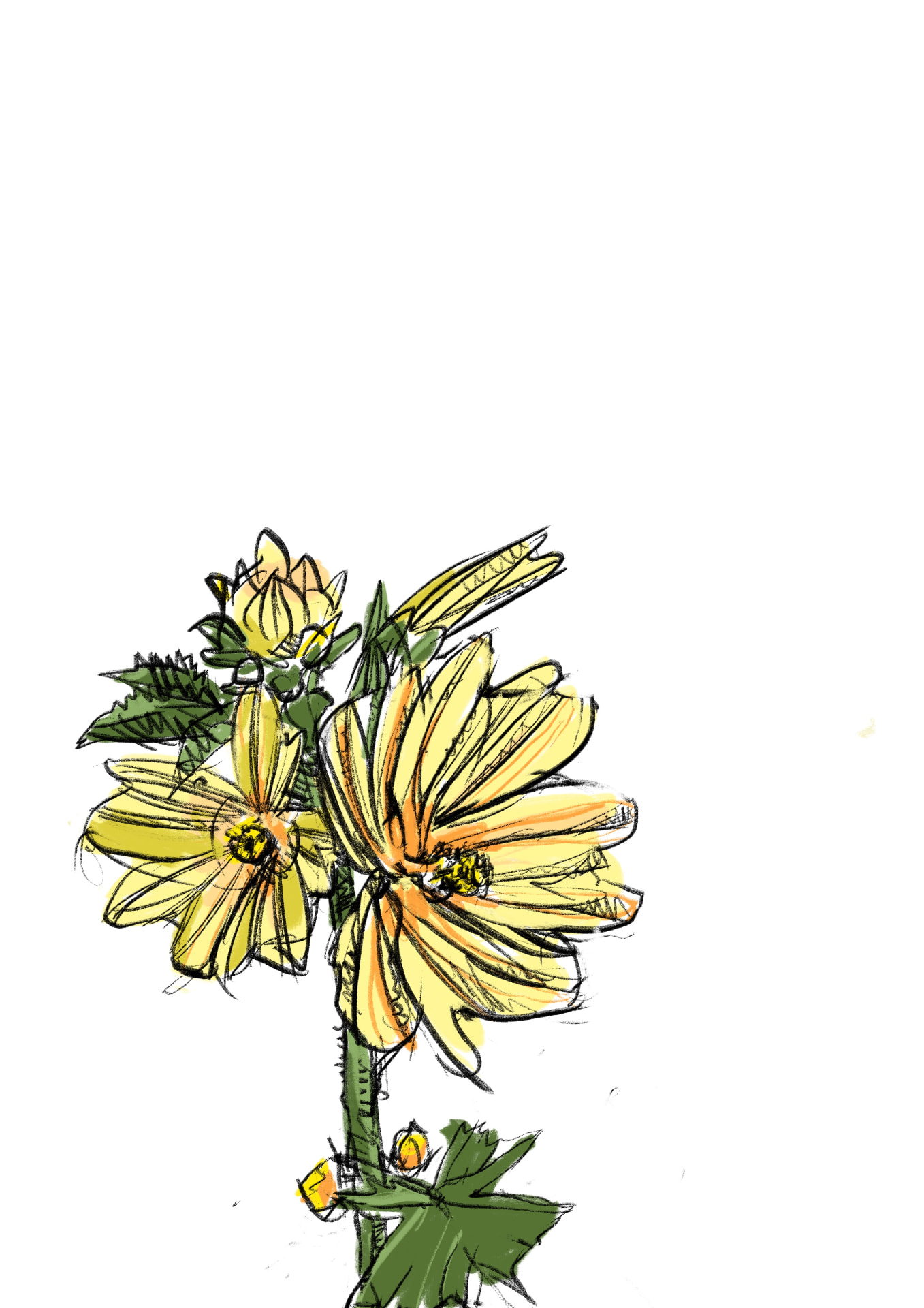 Dessin floral II